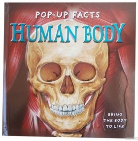 Pop-Up Facts. Human Body