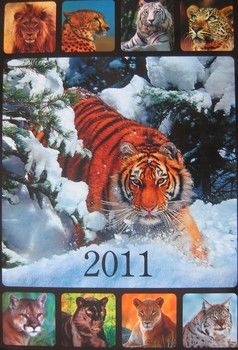 Перекидний календар на 2011 рік. Дикі кішки