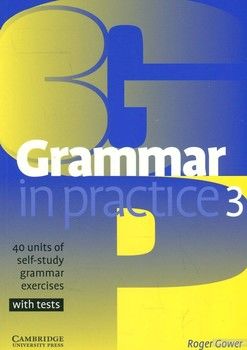 Grammar in Practice 3
