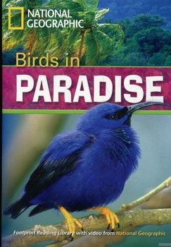Birds in Paradise (+DVD)