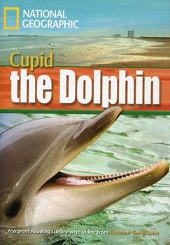 Cupid the Dolphin (+DVD)