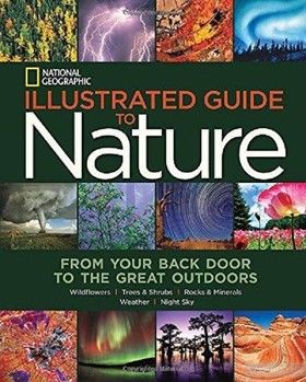 Illustrated Guide to Nature