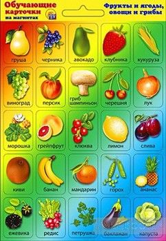 Фрукты и ягоды. Овощи и грибы. Обучающие карточки на магнитах