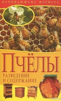 Пчелы. Разведение и содержание