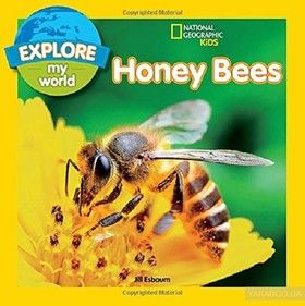 Explore My World. Honey Bees