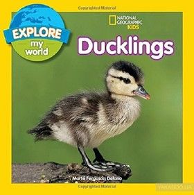 Explore My World: Ducklings