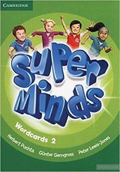 Super Minds 2 Wordcards (Pack of 81)