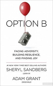 Option B. Facing Adversity, Building Resilience and Finding Joy