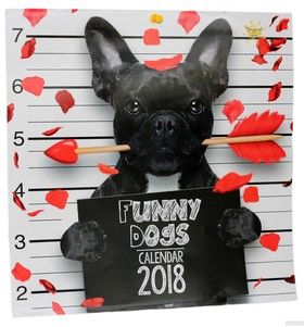 Настінний календар Свято кожен день Funny Dogs на 2018 рік