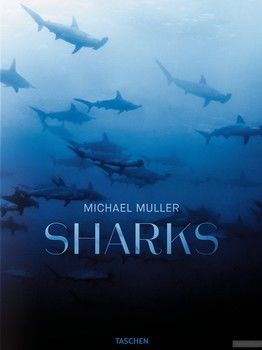 Michael Muller. Sharks, Face-to-Face with the Ocean&#039;s Endangered Predator