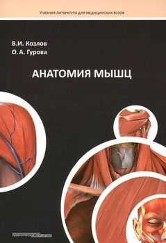 Анатомия мышц. Учебное пособие