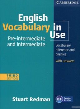 English Vocabulary in Use. Pre-intermediate and Intermediate