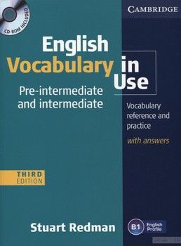 English Vocabulary in Use. Pre-intermediate and Intermediate (+ CD-ROM)