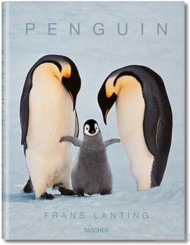 Frans Lanting. Penguin
