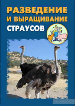 Разведение и выращивание страусов