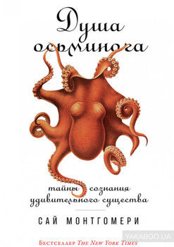 Душа осьминога: Тайны сознания удивительного существа