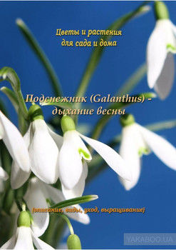 Подснежник (Galanthus) – дыхание весны