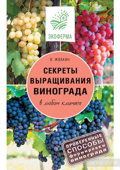 Секреты выращивания винограда в любом климате. Проверенные способы формировки винограда