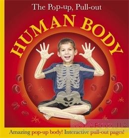 Pop-Up, Pull-Out Human Body