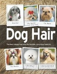 Dog Hair