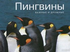 Пингвины. Важные и дружные