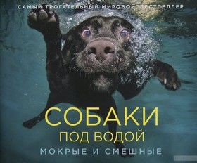 Собаки под водой. Мокрые и смешные