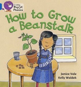 Big Cat Phonics 4 How to Grow a Beanstalk