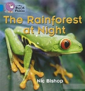 Big Cat Phonics 4 The Rainforest at Night