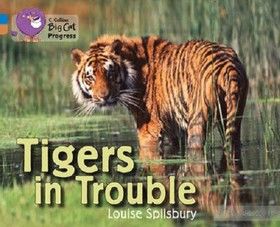 Big Cat Progress 4/12 Tigers in Trouble