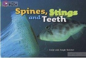 Big Cat  5 Spines, Stings and Teeth. Workbook