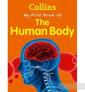 My First book of the Human Body