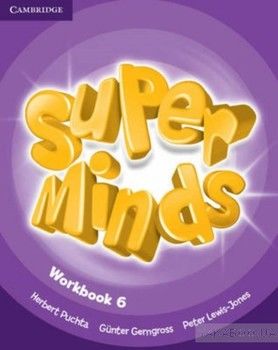 Super Minds 6 Workbook