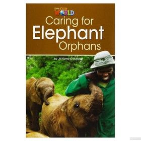 Caring for Elephant Orphans Reader