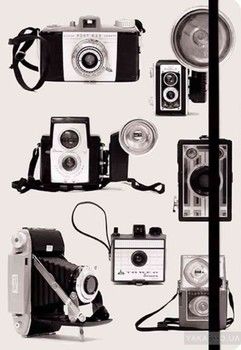 Everyday Journal: Vintage Cameras Essential