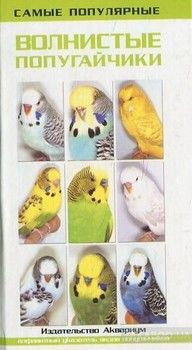 Самые популярные волнистые попугайчики
