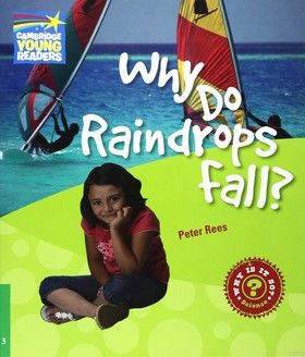 Why Do Raindrops Fall? Level 3