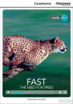 Fast: The Need for Speed High Beginning