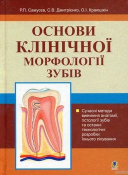 Основи клінічної морфології зубів
