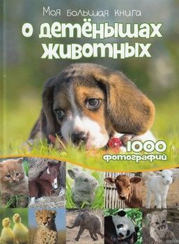 Моя большая книга о детенышах животных. 1000 фотографий