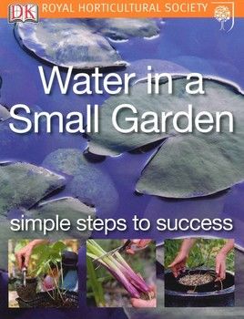 Water in a Small Garden: Simple Steps to Success