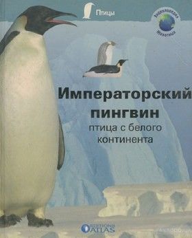 Императорский пингвин. Птица с белого континента