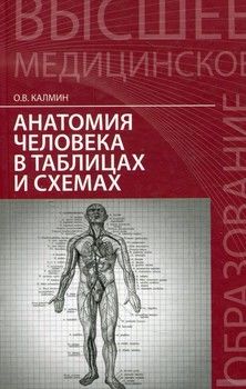 Анатомия человека в таблицах и схемах
