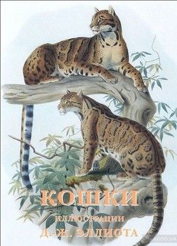 Кошки (набор из 15 открыток)